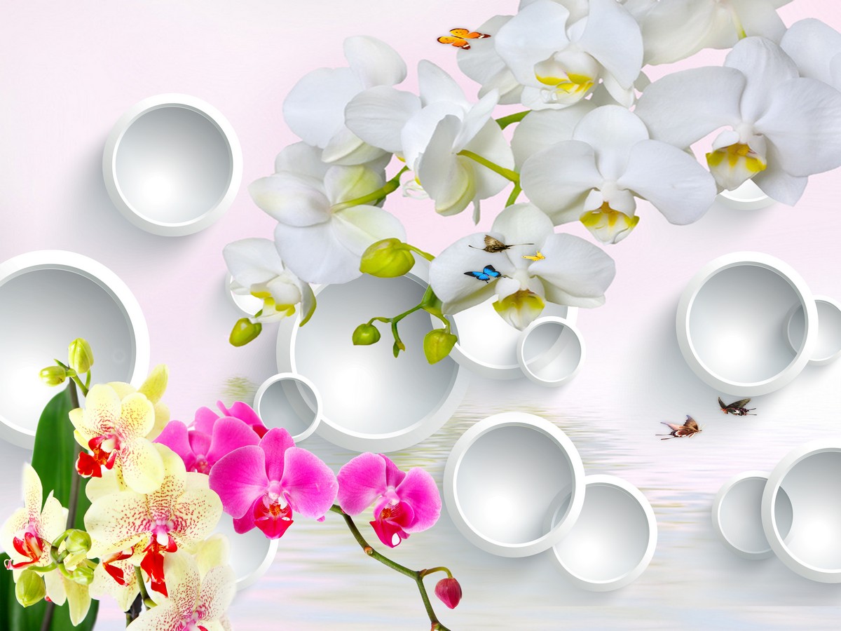 Фреска Воздушные орхидеи